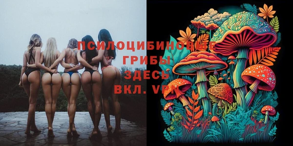 MDMA Аркадак