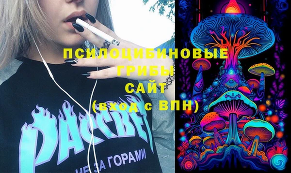 дмт Армянск